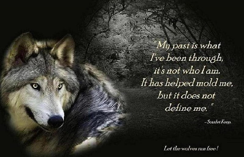 'Wolf wisdom'....., message, quote, wolves, animals, wisdom, HD wallpaper