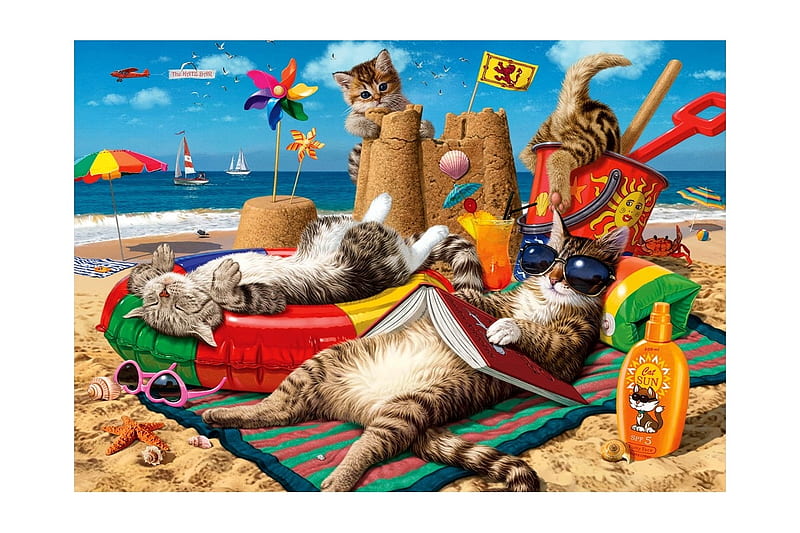 Cats on the beach, beach, vara, fantasy, steve read, summer, funny, cat, pisici, HD wallpaper