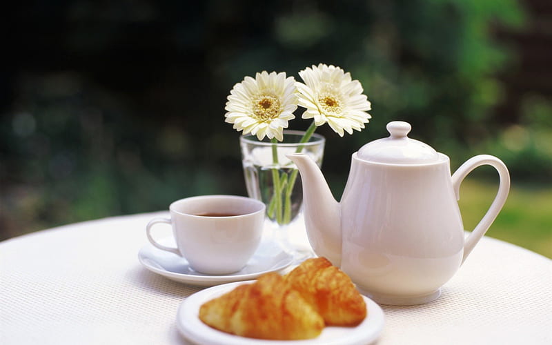 Lovely morning, croissants, daisies, flowers, sunshine, morning, cup of ...