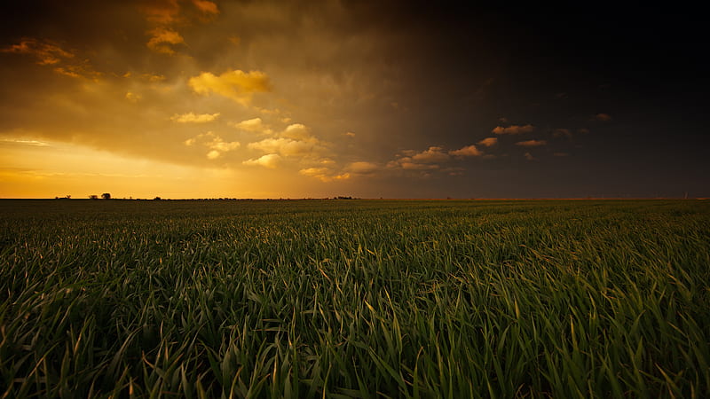 Sunset Fields, fields, nature, sunset, HD wallpaper