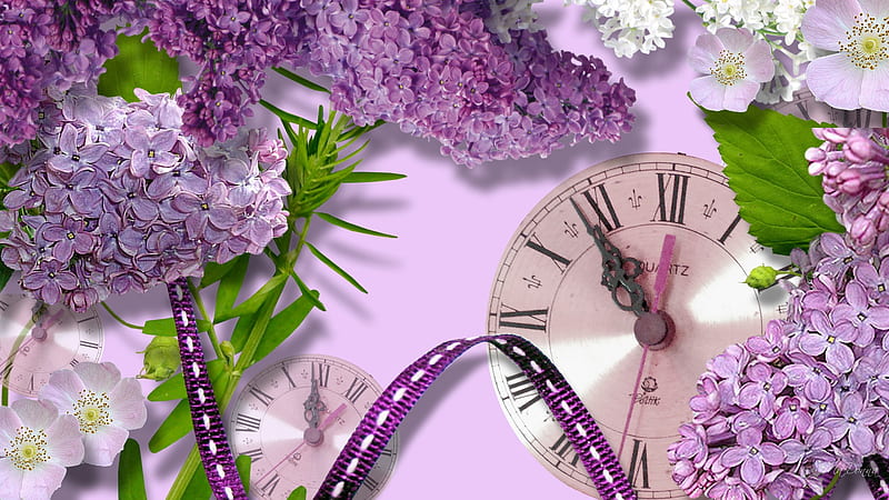 Lilac Time, lilac, clocks, time, ribbon, spring, person, purple, season, white, pink, HD wallpaper