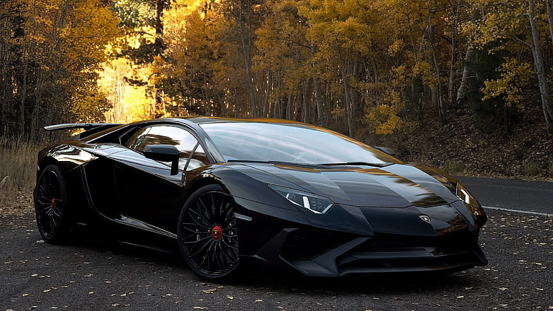 Black Lamborghini Aventador, HD wallpaper