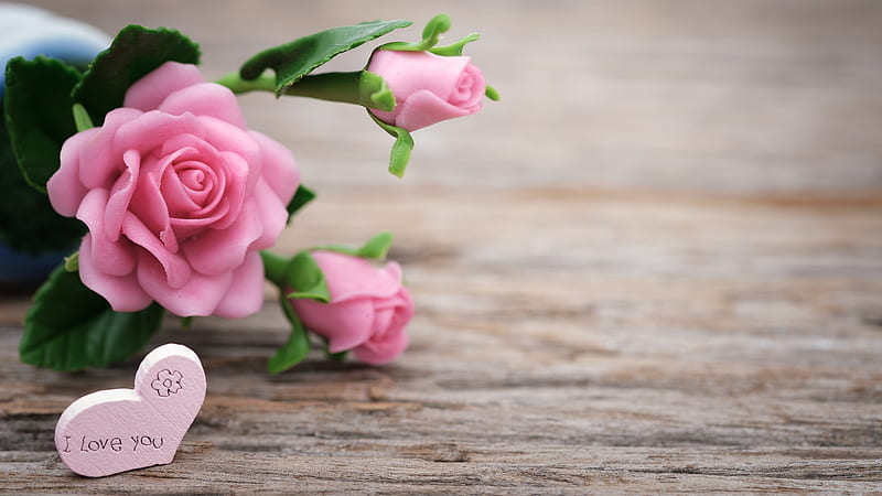 Pink Rose Flowers With Leaves On Wood Bench Flowers, HD wallpaper