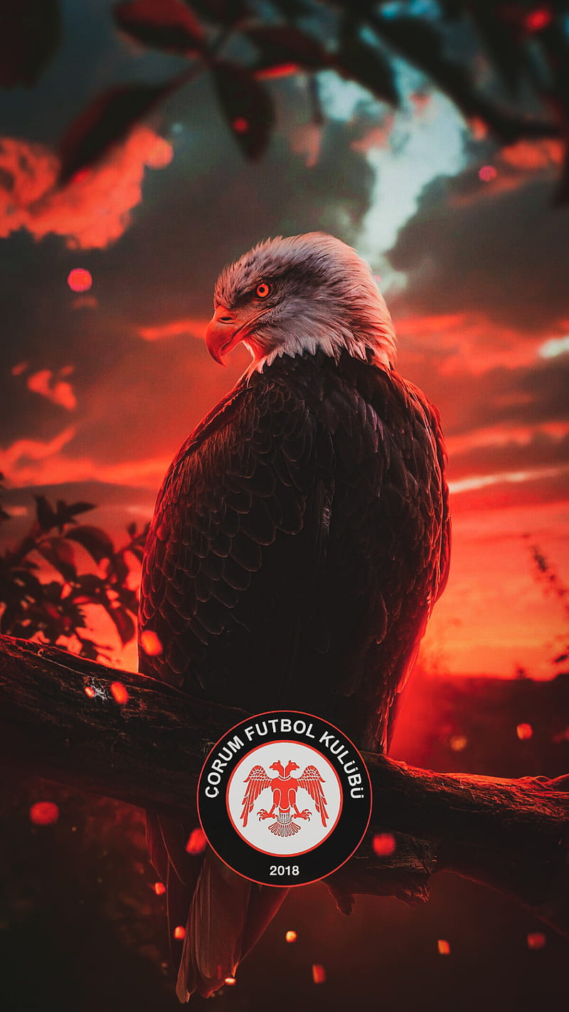 CORUMSPOR , 2021, eagle, flag, football, HD phone wallpaper