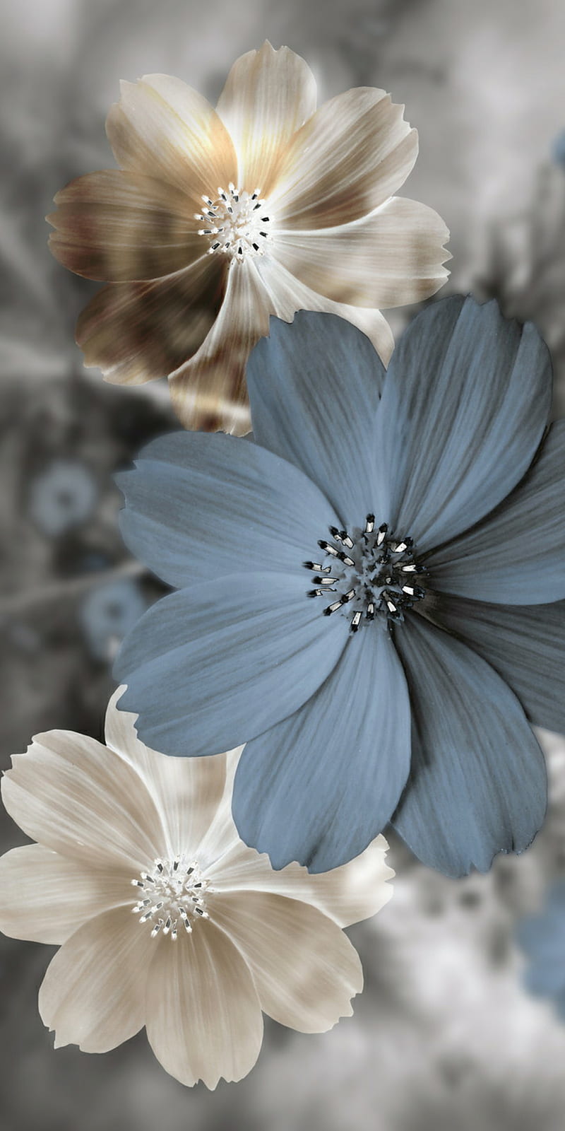 Flores, 3d, pálido, Fondo de pantalla de teléfono HD | Peakpx