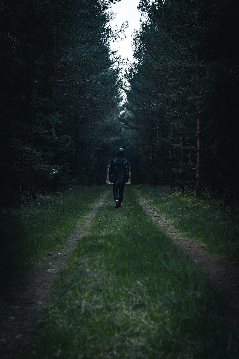 man, forest, road, glade, trees, loneliness, HD phone wallpaper