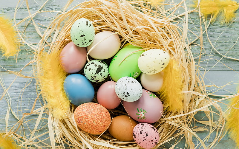 colored easter eggs, nest, concepts, spring, Easter, april 2018, yellow feathers, HD wallpaper