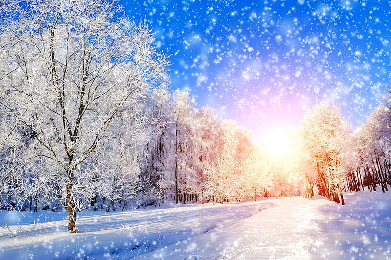 Hình nền mùa đông sẽ mang đến không khí lạnh giá của mùa đông, với những tuyết rơi bay tự do trên nền trời xanh. Hãy để hình nền này giúp bạn tưởng tượng về những cánh rừng tuyết trắng phủ kín, cho bạn trải nghiệm một mùa đông đầy thú vị.