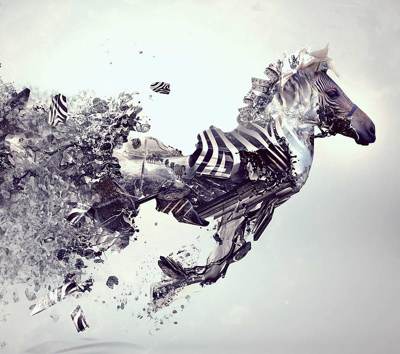Zebra, abstract, horse, HD wallpaper