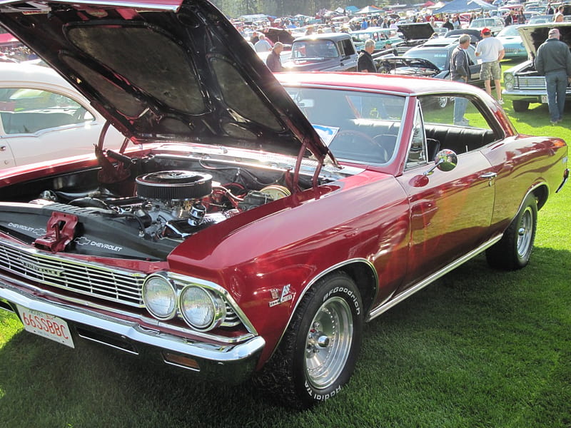 1966 Chevrolet Chevelle, red, graphy, headlights, Chevrolet, Chrome, black, tires, Engine, HD wallpaper