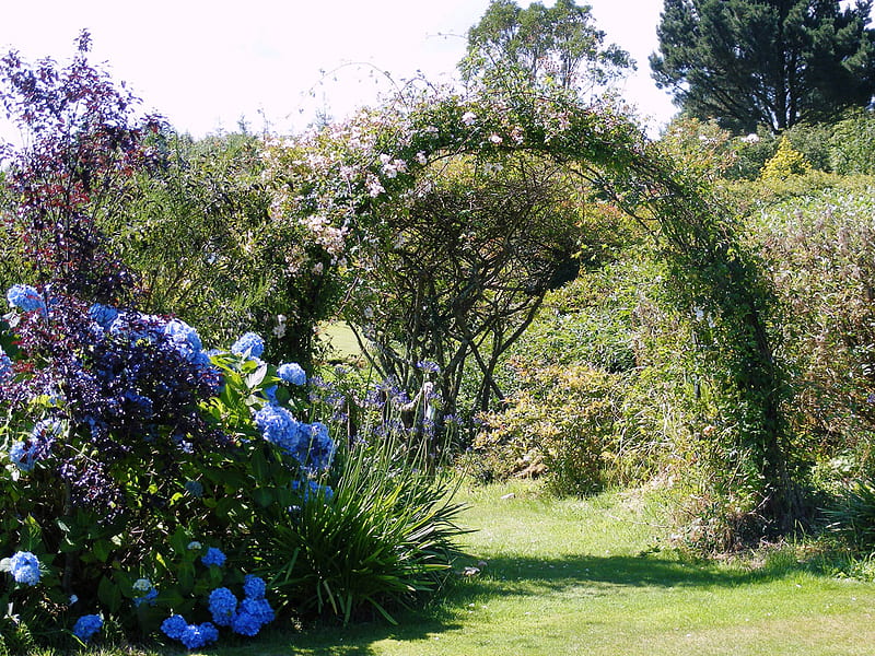 blue garden, flowers, garden, nature, arbor, blue, HD wallpaper