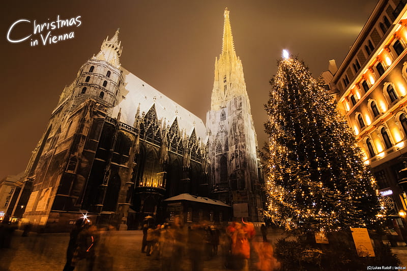 Vienna, Austria Christmas, HD wallpaper