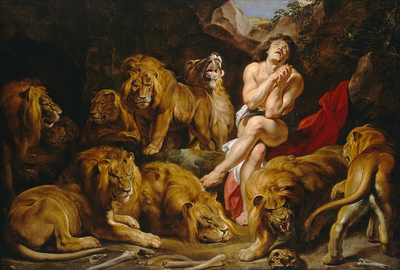 Daniel in the lions den, art, peter paul rubens, daniel, den, leu, painting, man, lion, pictura, HD wallpaper