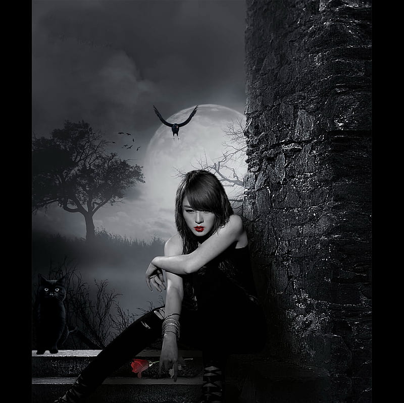Alone and waiting Sweetwitch, witch, red, rose, dark, cat, trees, lips, sweet, HD wallpaper