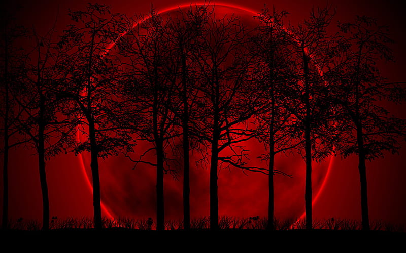 Red Moon, background, black, trees, HD wallpaper