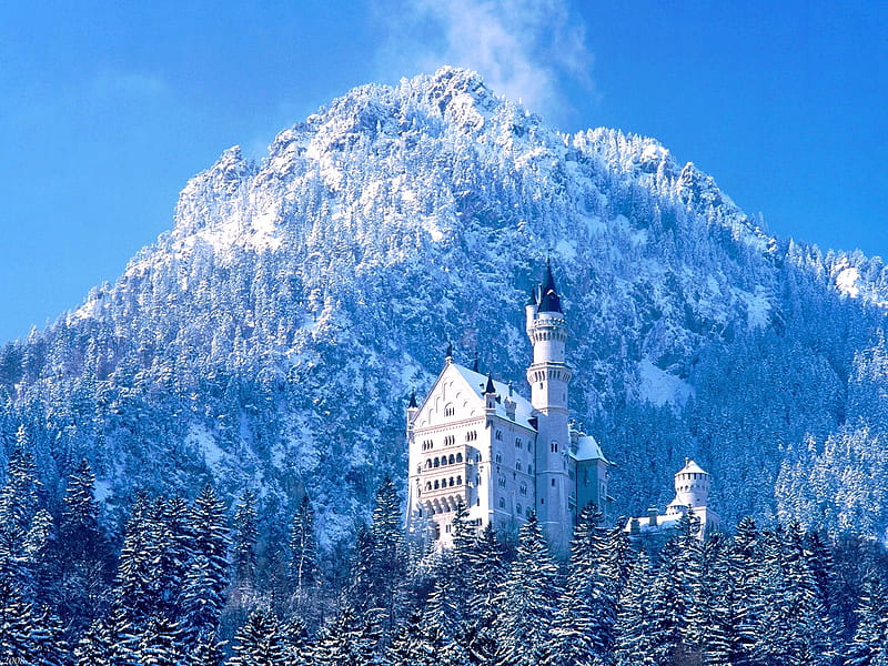 Winter Castle, mountain, roof, towers, snow, white castle, blue sky, trees, HD wallpaper