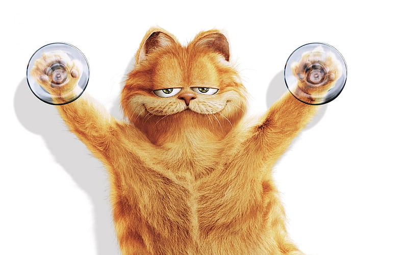 Clever Cat, anime, clever, garfield, cat, cupping, tomcat, HD wallpaper