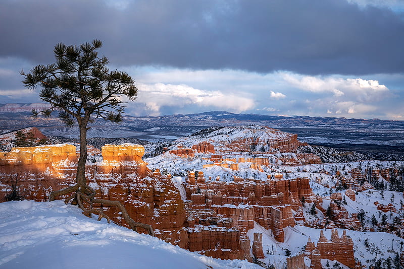 National Park, Bryce Canyon National Park, Canyon, Rock, Snow, Tree, Utah, Winter, HD wallpaper