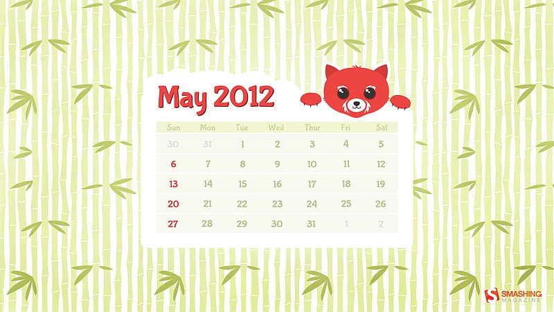 red panda-May 2012 calendar, HD wallpaper