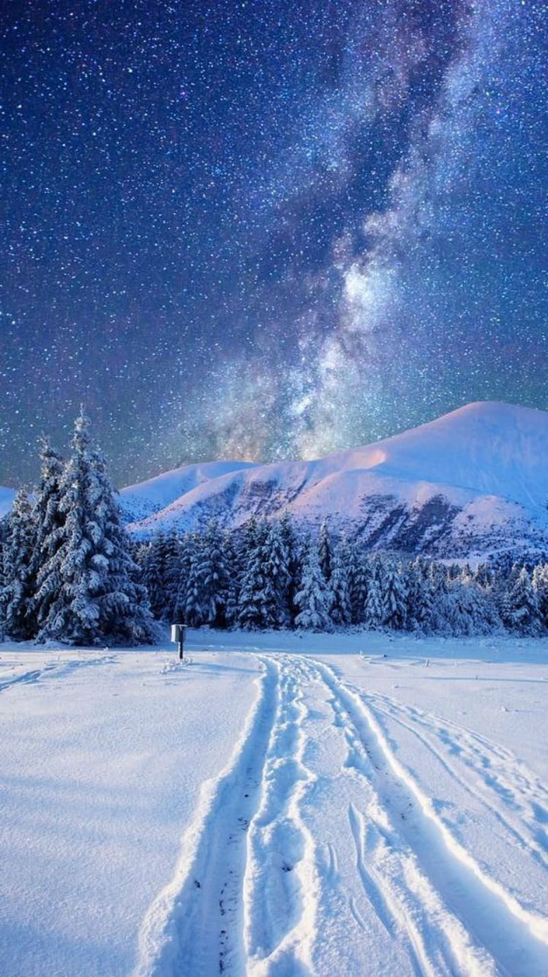 Winter landscape, winter, snow, night, sky, stars, milky way, trees, mountain, trail, white, HD phone wallpaper