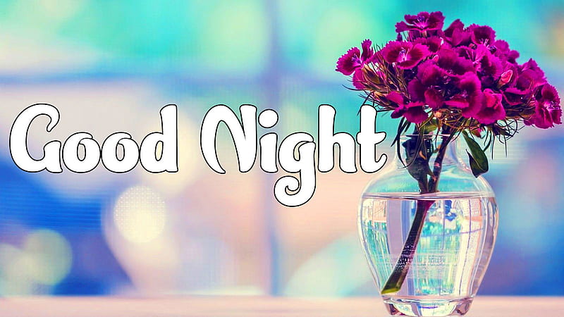 Good Night Word With Flower Pot Good Night, HD wallpaper | Peakpx