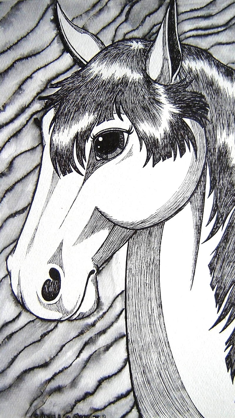 Arte del caballo de tinta, animales, ojos grandes, dibujos animados,  dibujado, Fondo de pantalla de teléfono HD | Peakpx