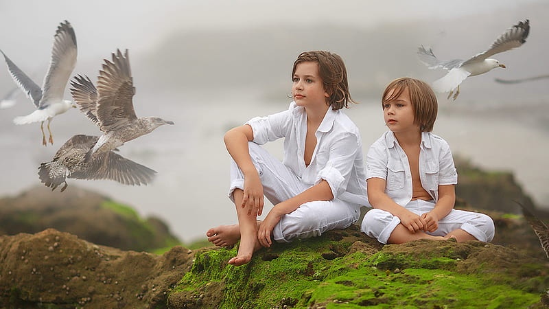 Two Cute Little Boys Are Sitting On Algae Covered Rock Wearing White Dress With Seagulls Surrounded Cute, HD wallpaper