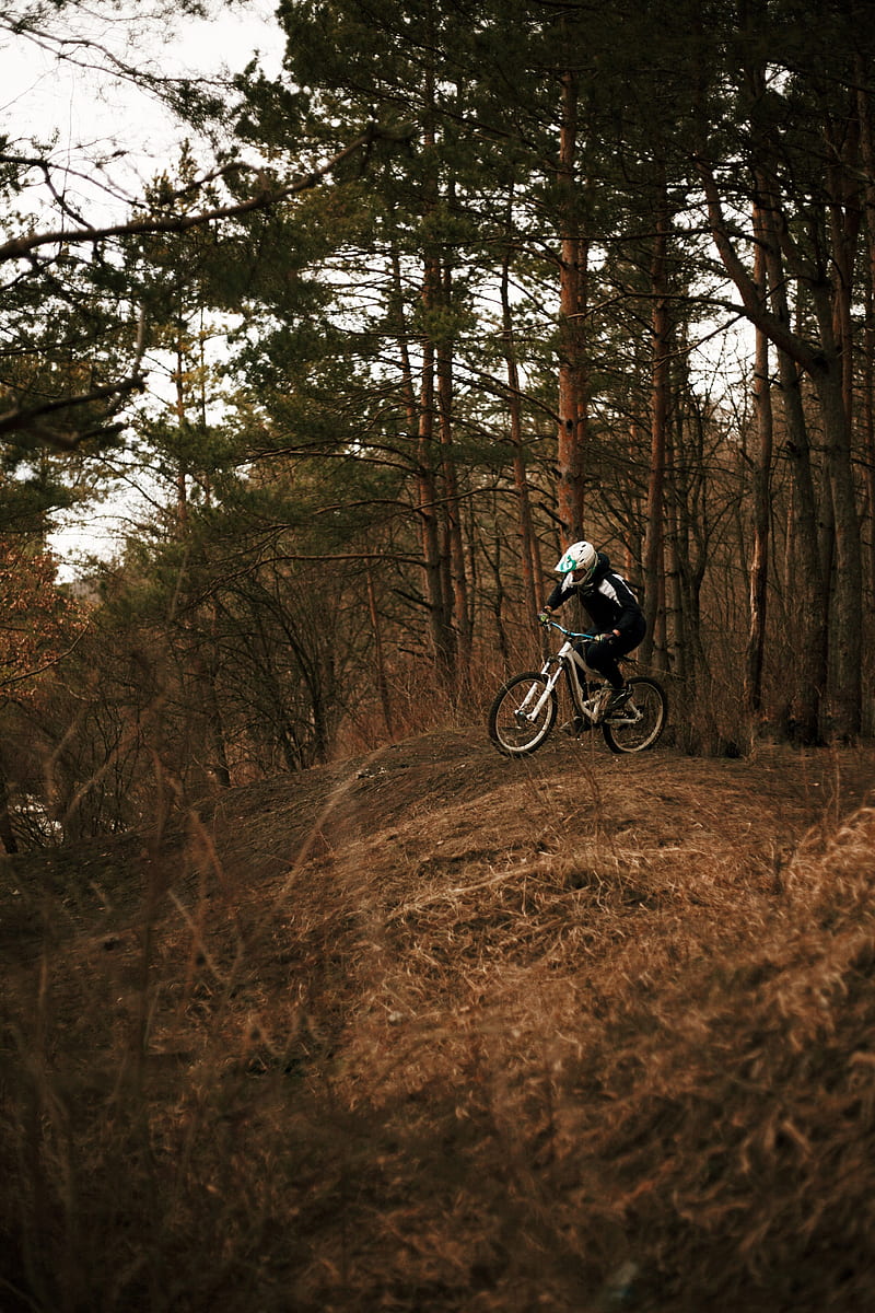 bike, cyclist, forest, trees, HD phone wallpaper
