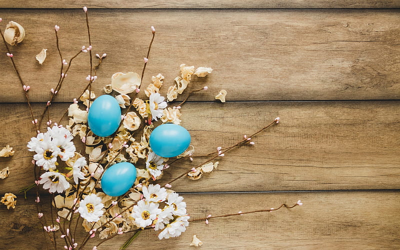 Spring, Easter, wooden background, blue easter eggs, spring flowers, HD wallpaper