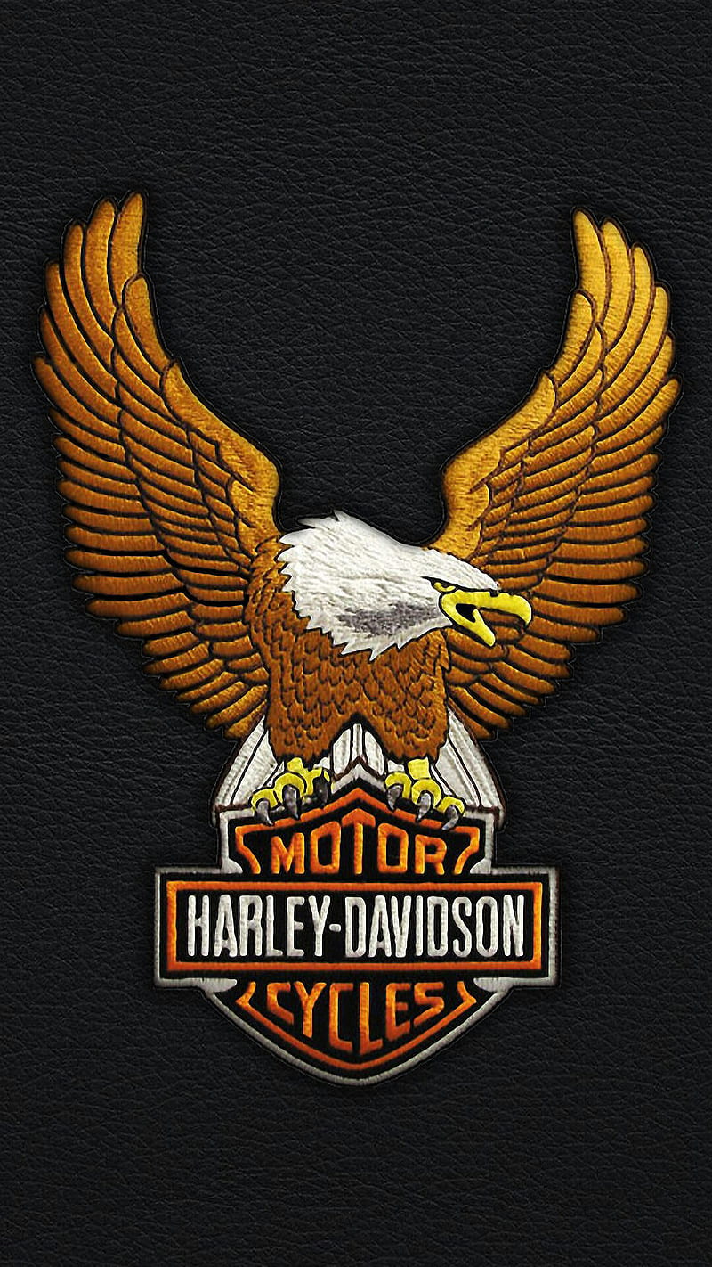 Harley, byke, davidson, eagle, logo, moto, motorcycles, HD phone wallpaper