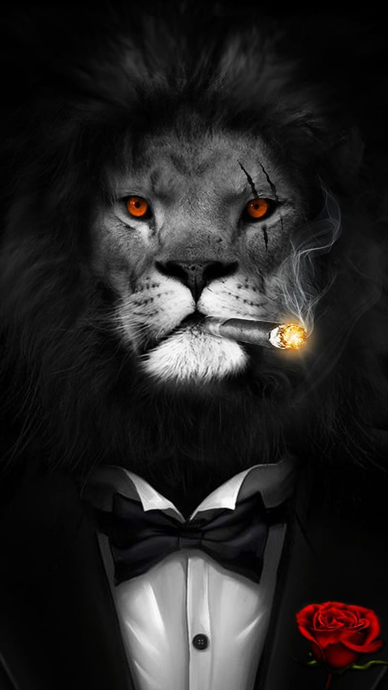 Attitude lion, respect, HD phone wallpaper | Peakpx