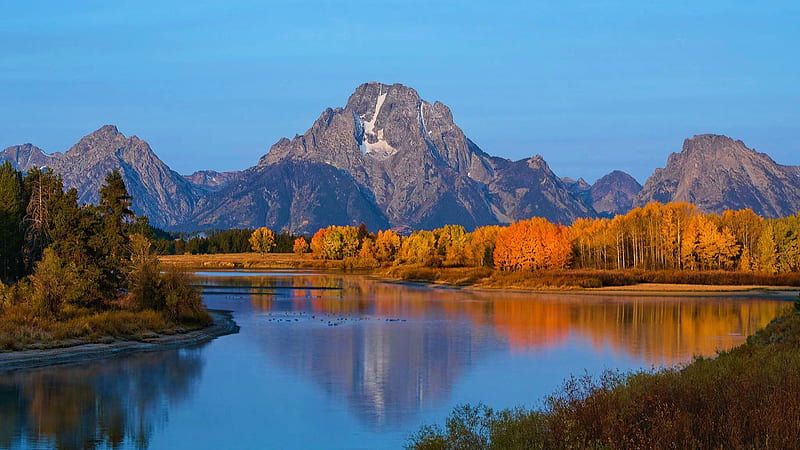 Fall colors at Oxbow Bend, Grand Teton NP, trees, usa, wyoming, autumn ...