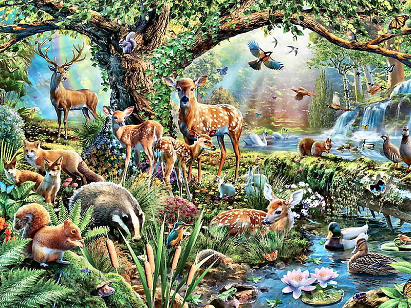 Woodland Creatures F, art, birds, bonito, illustration, artwork, deer, animal, avian, painting, wide screen, wildlife, nature, HD wallpaper