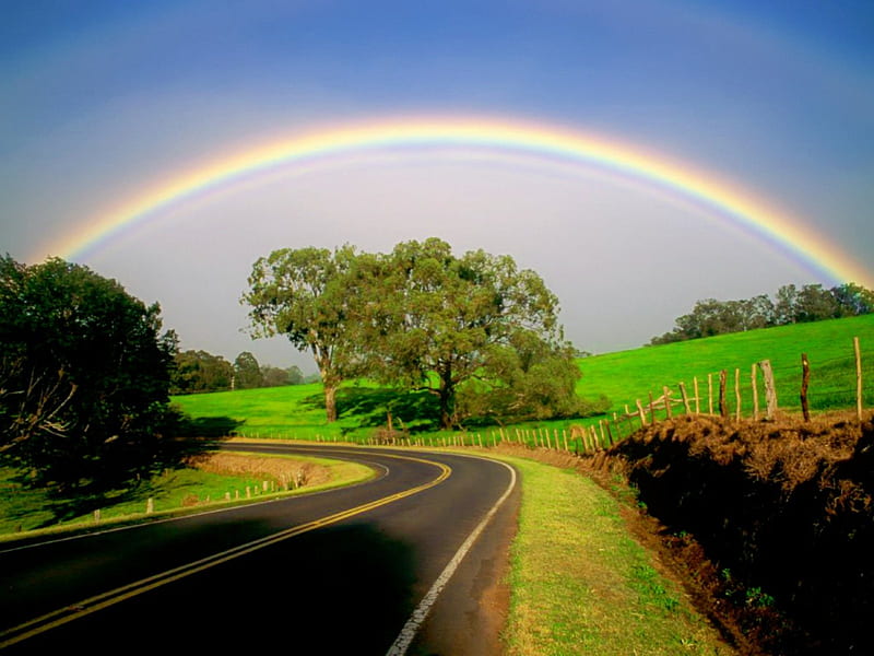 Rainbow over the road, lovely, grass, bonito, rainbow, sky, path, nature, rain, road, field, HD wallpaper