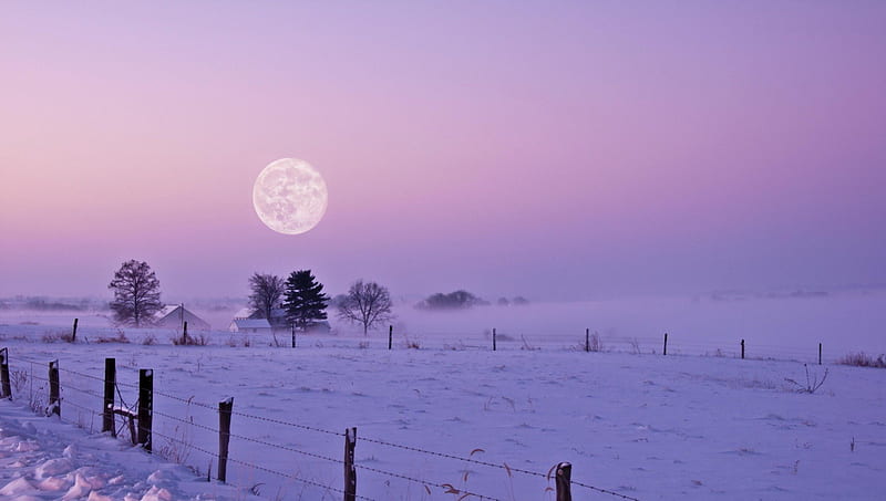 glorious moon over a rural winter scene, farm, fence, moon, fog, winter, HD wallpaper