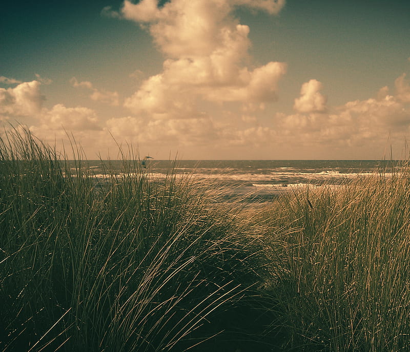 Holland - Sea, beach, holland, nederland, netherlands, sea, strand, zee, HD wallpaper