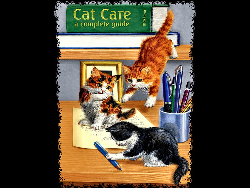 Cat Care - Cats, art, bonito, pets, illustration, artwork, animal, feline, painting, wide screen, cats, HD wallpaper