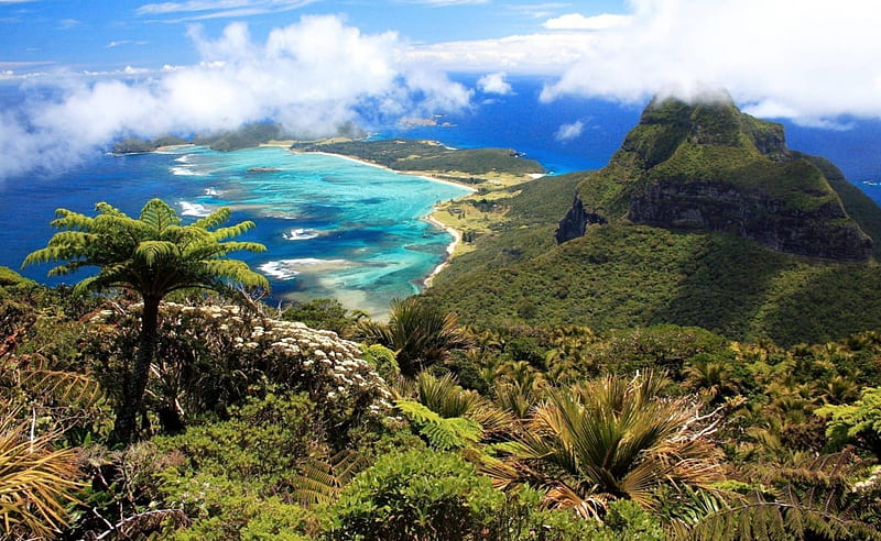 Breathtaking View, mountain, ocean, tropics, clouds, coast, palm trees, panorama, HD wallpaper