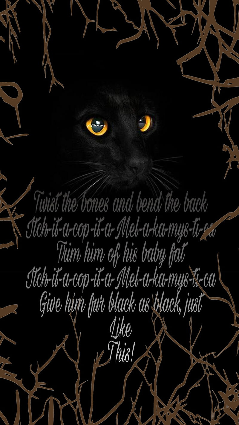 Hocus Pocus Binx, black cat, halloween, hocus-pocus, witch, HD phone wallpaper