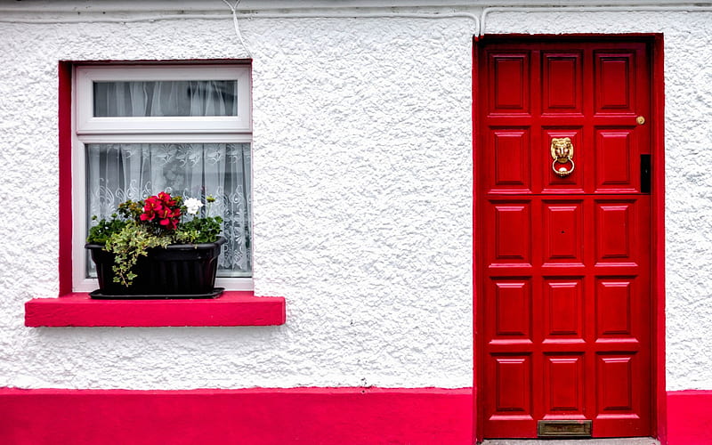 Red Door, Flower box, Red, Door, House, HD wallpaper
