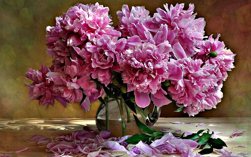 Peonies, still life, leaves, flowers, vase, Spring, petals, HD wallpaper