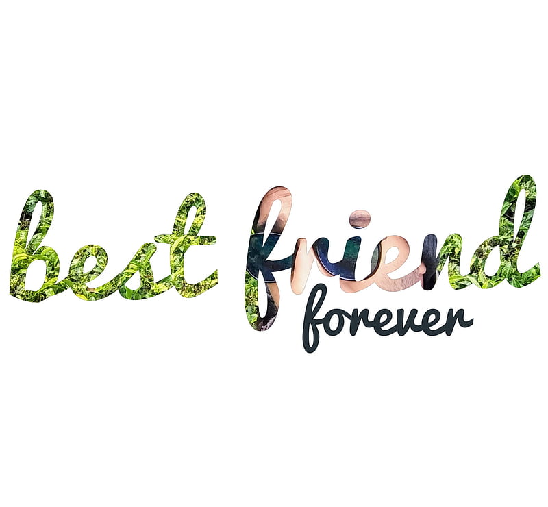 Best Friend Forever Logo Template with Lettering. Friendship Theme. Vector  Design for Invitation, Postcard, Print or Stock Vector - Illustration of  abstract, element: 113782617