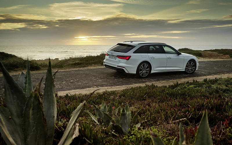 Audi A6 Avant, 2020, rear view, exterior, white station wagon, new white A6  Avant, HD wallpaper