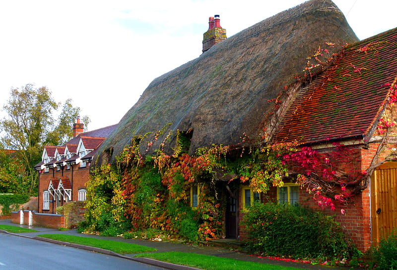 Quaint Cottage, Fall, grass, cottage, bushes, door, windows, leaves, vines, road, Autumn, street, HD wallpaper