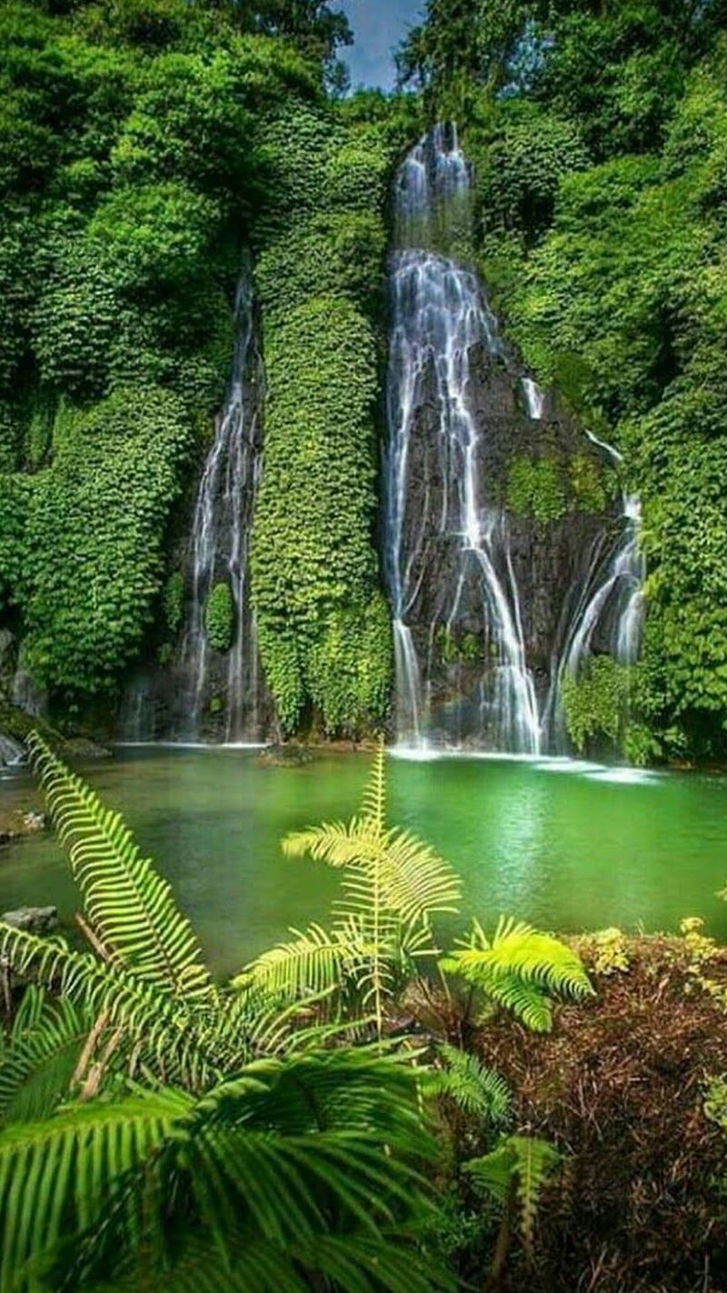 Cascadas, hermosa, belleza, verde, lago, hojas, natural, naturaleza, agua,  cascada, Fondo de pantalla de teléfono HD | Peakpx