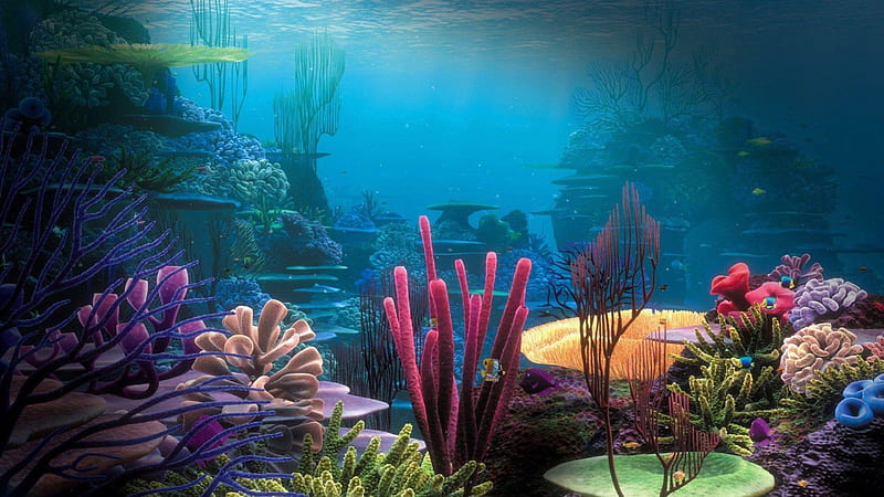 Underwater Oceans Coral Reefs Nature, HD wallpaper