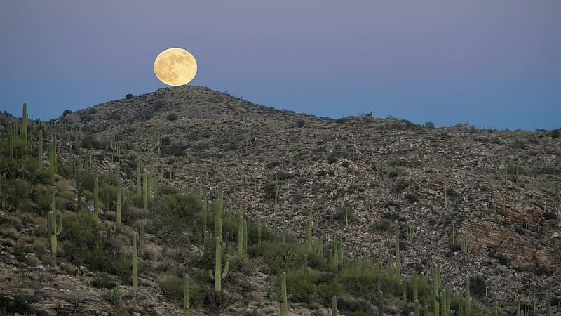 From the side of Mt Lemmon highway, outside Tucson, Arizona, sky, moon, usa, evening, HD wallpaper