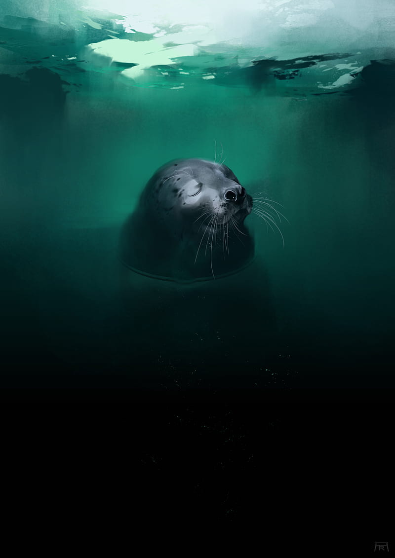 Fur seal, animal, cute, water, art, HD phone wallpaper | Peakpx