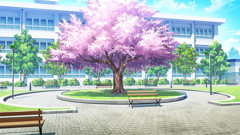 Cerezo, bonita, casa, escénico, Flor de sakura, planta, Bonito, flor de  cerezo, Fondo de pantalla HD | Peakpx