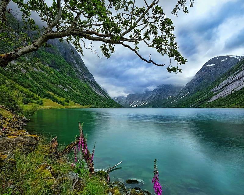 Calming Lake, Norway, grass, trees, clouds, lake, calm, water ...